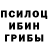 Псилоцибиновые грибы мицелий Natalia Rahel