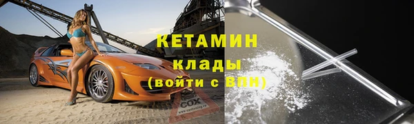 крисы Кулебаки