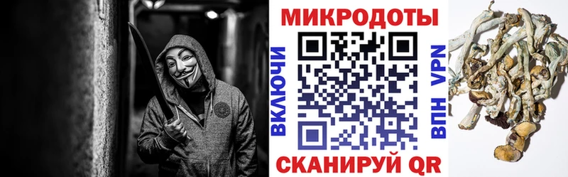 Псилоцибиновые грибы мицелий Алексин