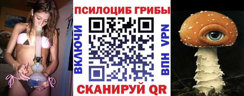 Купить где  Алексин  Галлюциногенные грибы Cubensis 